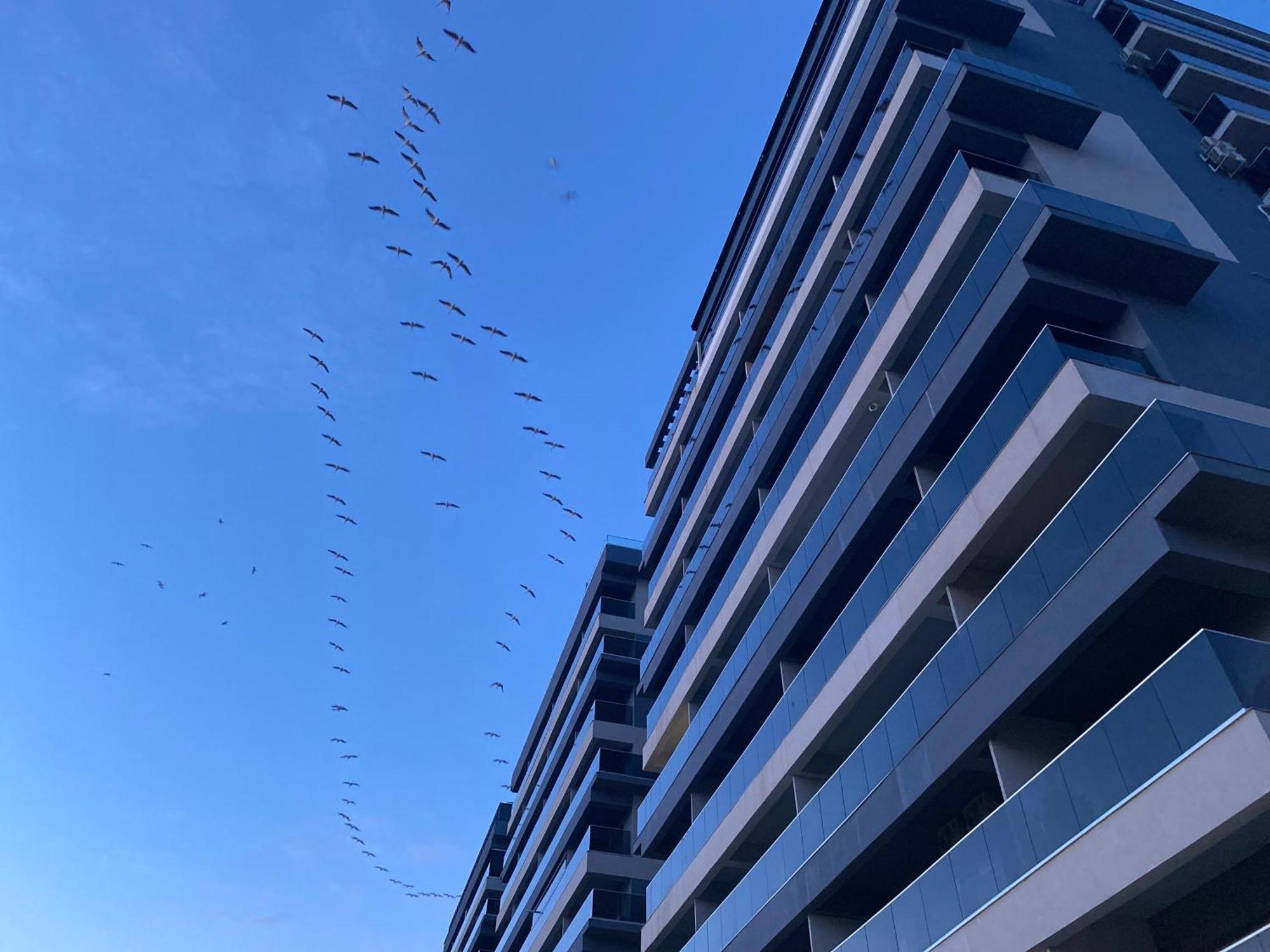 Elysse Sunrise Apartment Mamaia Exterior foto