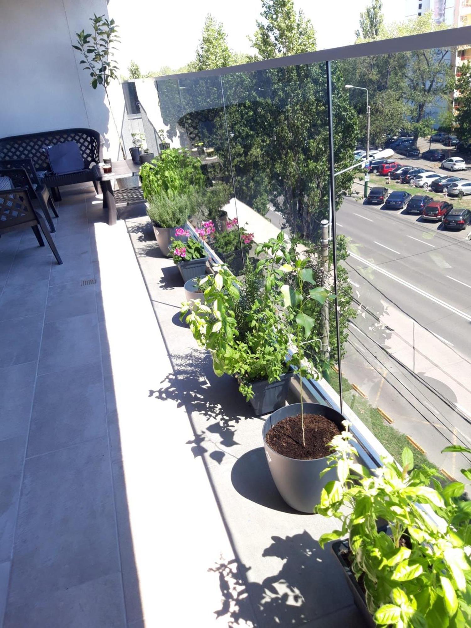 Elysse Sunrise Apartment Mamaia Exterior foto
